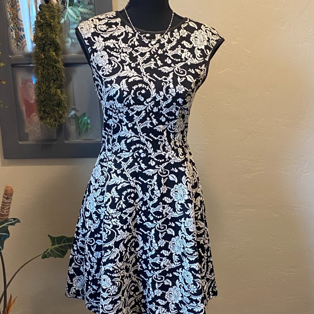 Embroidered Mini dress